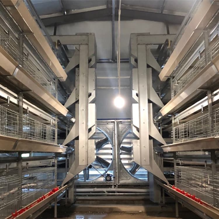 Laminated Chicken Cage 2 Compact layer cage system for small farms