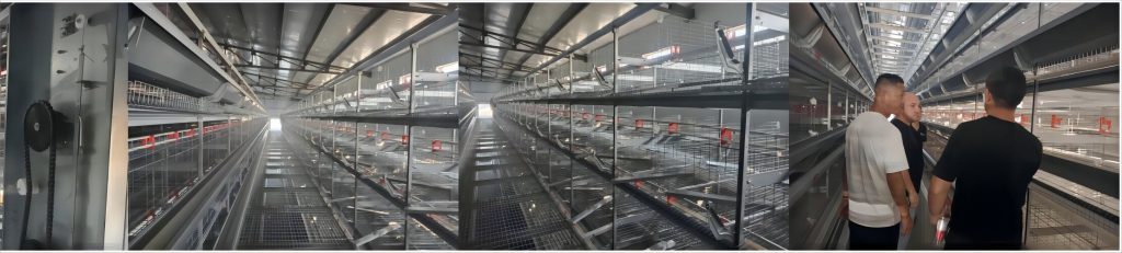 Système modulaire de cages pour poules pondeuses