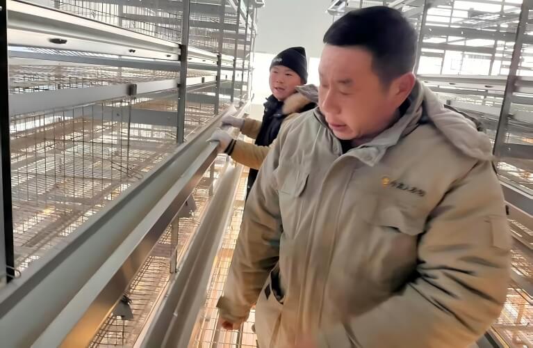 Commercial chick environmental control unit