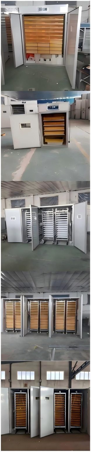 Acheter un incubateur d’éclosion avicole automatique