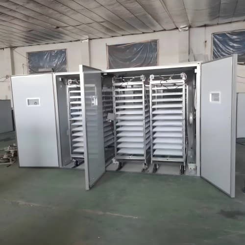 Machine d’éclosion d’œufs fiable et abordable