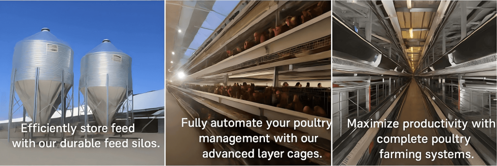 Système de cages en cascade intelligent pour fermes avicoles professionnelles