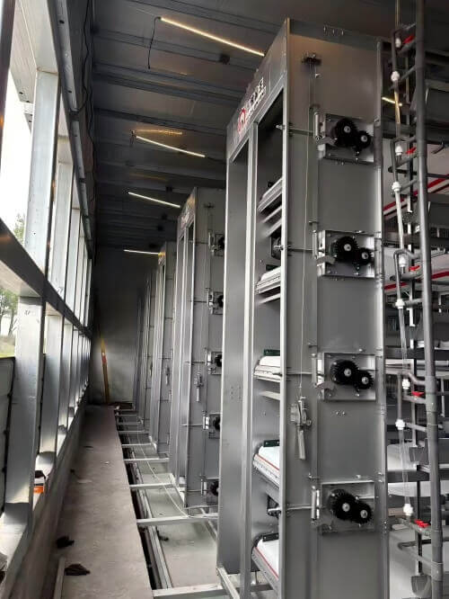 Équipements de pointe pour élevages avicoles Équipement avicole automatisé