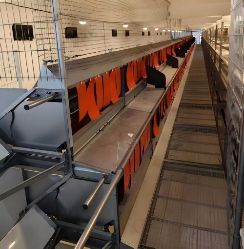 Cages de bien‑être conformes aux tendances européennes en matière de bien‑être animal, équipées d’une alimentation, d’un abreuvement, d’un ramassage des œufs et d’une évacuation du fumier entièrement automatisés, ainsi que d’un contrôle intelligent du climat, offrant un service clé en main de la conception du poulailler à l’installation et à la mise en service.