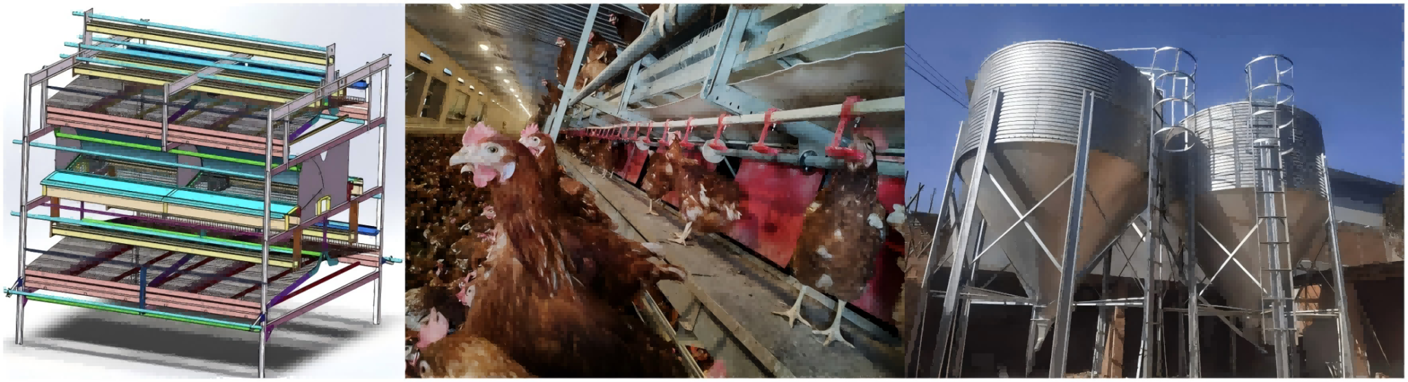 Nous fournissons à des élevages de poules dans le monde entier des cages pour pondeuses et des systèmes avicoles entièrement automatisés conformes aux normes de bien‑être de l’UE. N’hésitez pas à nous contacter pour discuter de votre projet d’achat.